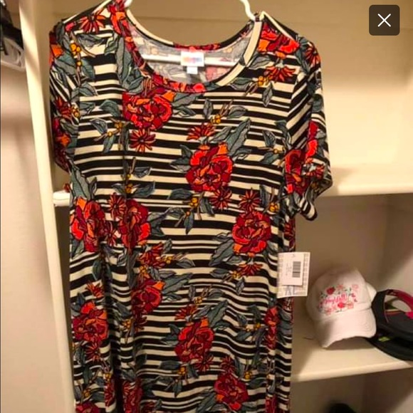 XL Carly - Picture 1 of 1